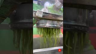 Download Lagu Amazing Process of Making Thai Pandan Jelly (Lod Chong) at A Festival 🇹🇭🍃 MP3 Download Lagu Amazing Process of Making Thai Pandan Jelly (Lod Chong) at A Festival 🇹🇭🍃 MP3