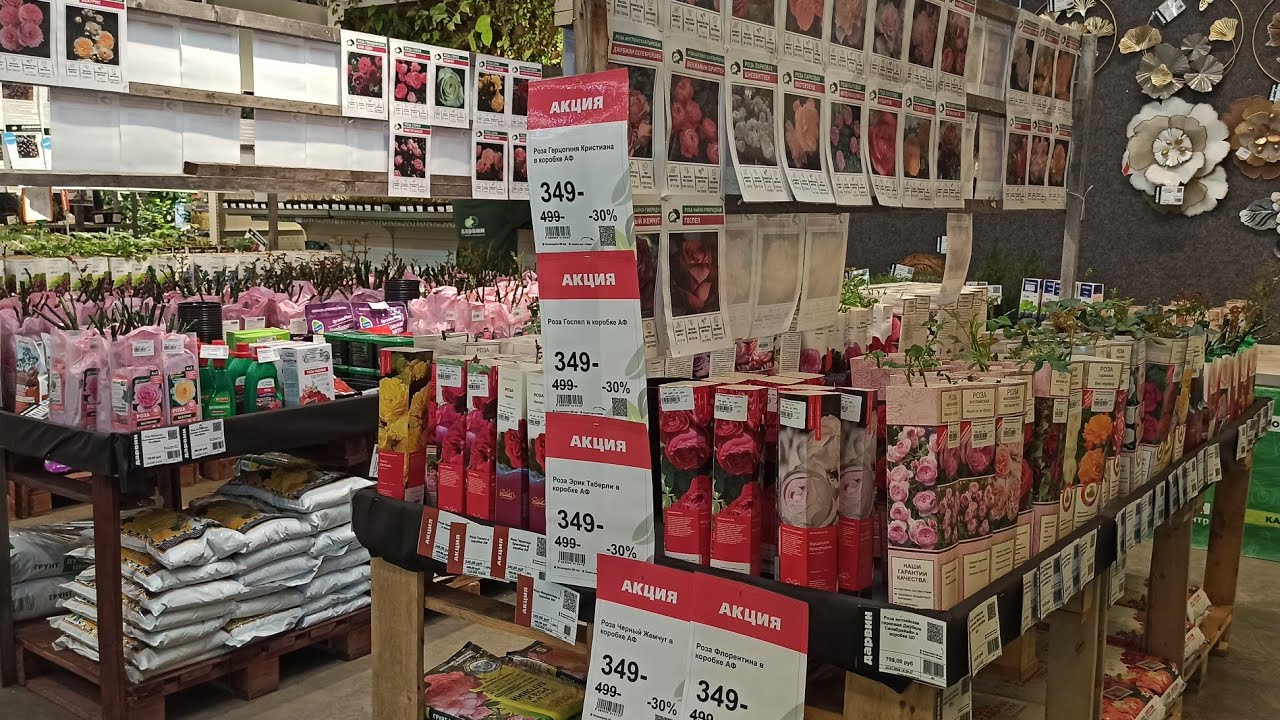 ДАРВИН: ассортимент и цены роз в коробках, разных производителей.(Розы из моего сада по ссылке).