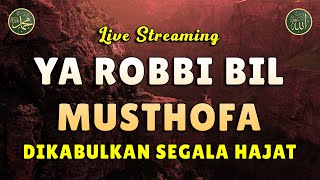 Ya Robbi Bil Musthofa Baligh Maqo Sidana || Sholawat Tanpa Musik || Dihapuskan Segala Dosa #16