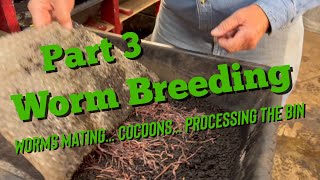 Worm Breeding for Beginners  Part 3