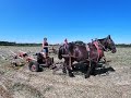 Haying With Draft Horses: Comparing Two Tedders