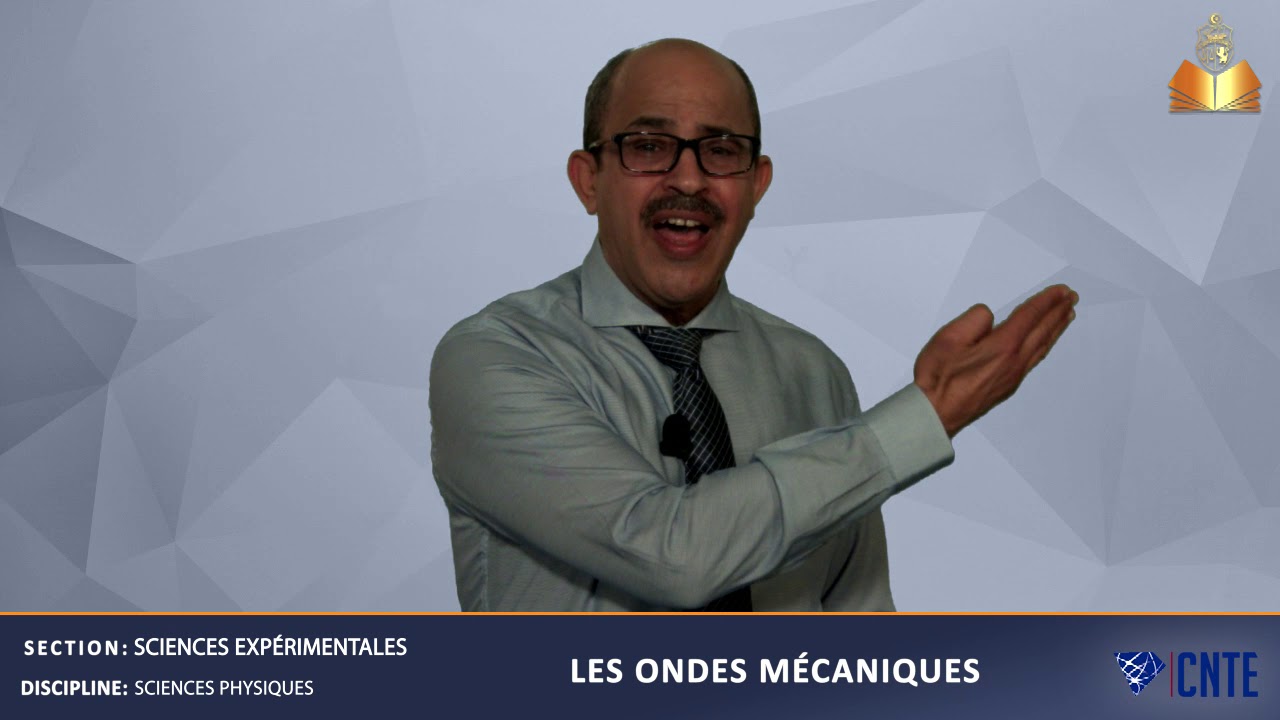 Section Sciences Expérimentales - Sciences Physiques : Les ondes ...