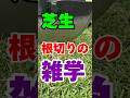 １分でマスター！芝生根切りの極意
