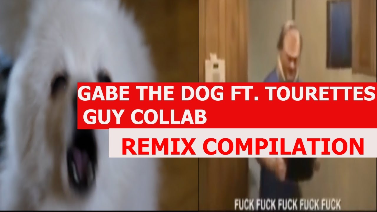Gabe The Dog Ft. Tourettes Guy Collab - REMIX COMPILATION - YouTube