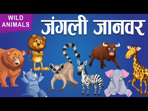 वीडियो: एक निजी घर के लिए मूल जानवर