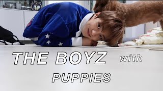 The Boyz playing with puppies 🐶 for 11 uwu-filled minutes