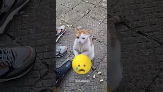 🤯😱#viral #youtube #trending #shorts #video #subscribe #animals #facts #ytshorts 🤯😱#viral #youtube #trending #shorts #video #subscribe #animals #facts #ytshorts
