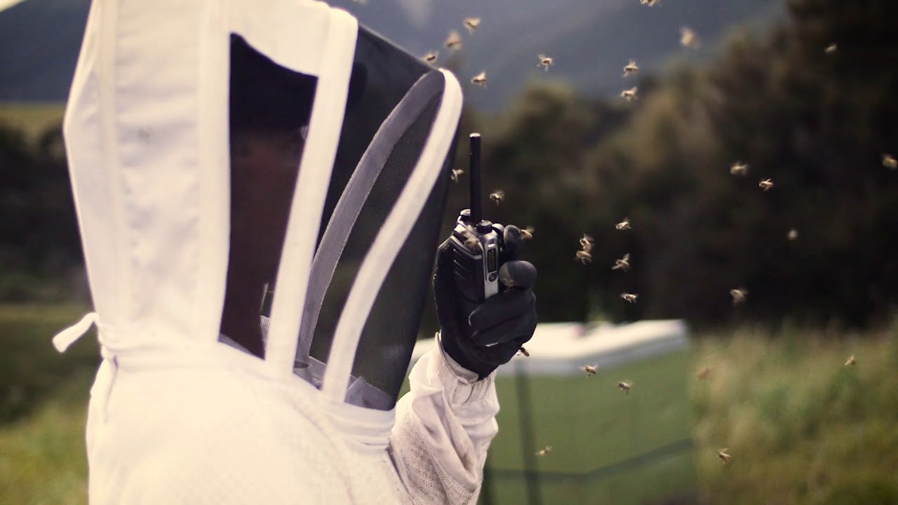 The True Honey Co. | Our operations