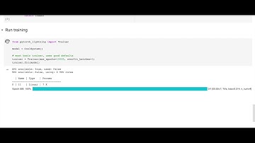 Overfitting test for deep learning in PyTorch Lightning