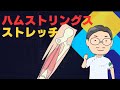 腰の痛みや怪我の予防に!ハムストリングストレッチ【整形外科医が教える!】