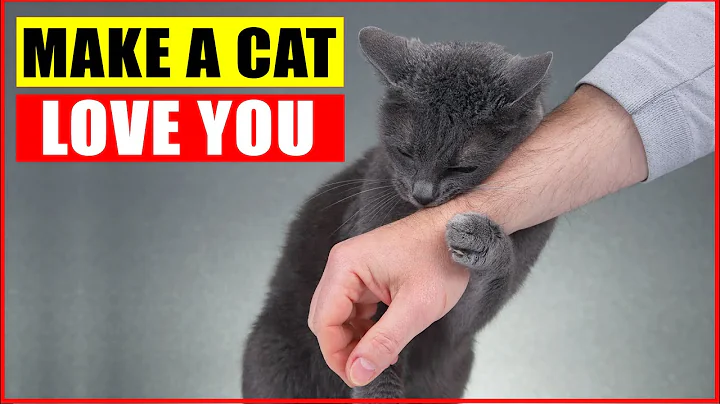 10 Scientific Ways to Get a Cat to Like You - DayDayNews
