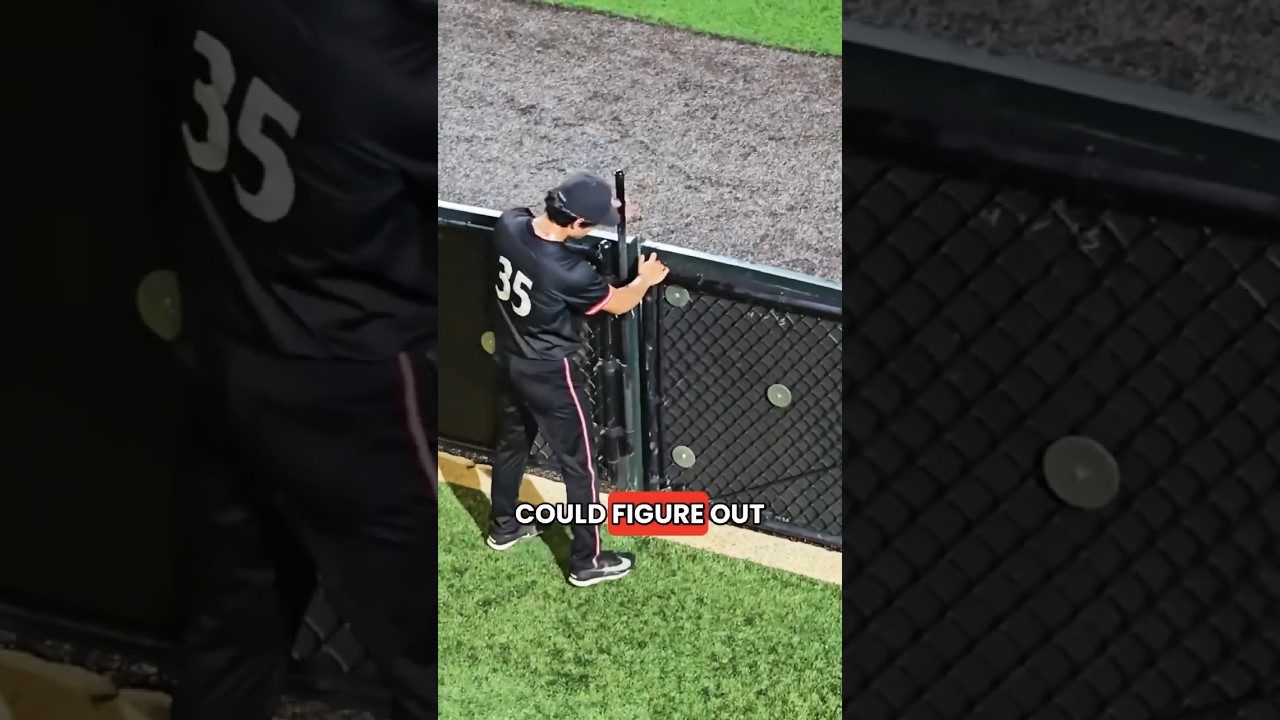 The game kept getting delayed for the funniest reason! #shorts #baseball