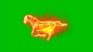 Firey Horse Green screen Animation Effect HD video || Chroma key effect
