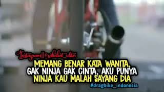 (Viral)  Story WA keren anak racing