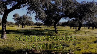 Documental dehesa