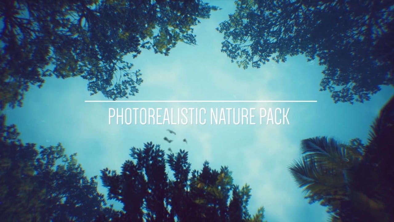 Photorealistic Nature Animation Video Pack - YouTube