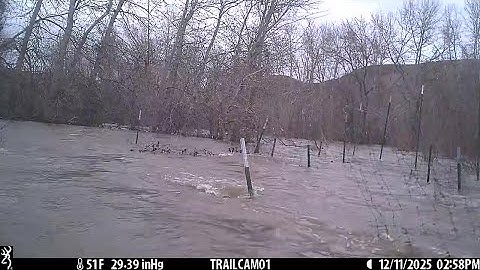 LSH PlantingDec2025 Flood   Made with Clipchamp