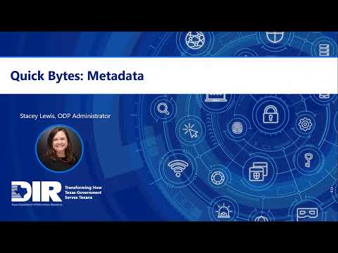 Data Quick Byte: Metadata