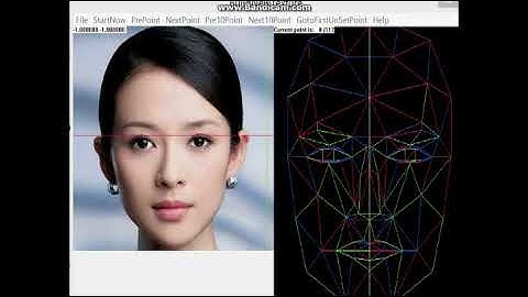 Facial expression synthesis (Final year project) --- Lingxuan