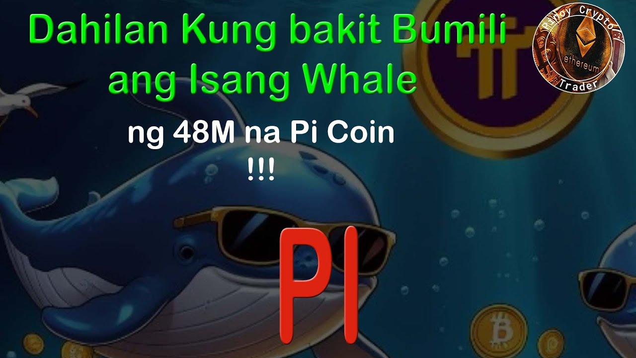 Dahilan Kung bakit Bumili ang Isang Whale ng 48M na Pi Coin?