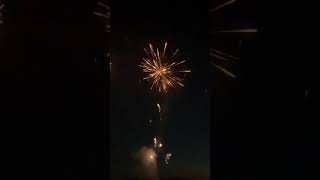 Show Dog 100 shot Firework