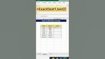 How to Use Exact formula  #msexcel #shortsvideo #excel #shortsfeed #shorts #msexceltricks #formula