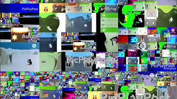 Too many pingu does the camera