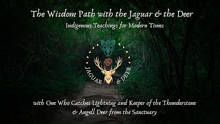 Wisdom Path Video Grounding & Belonging