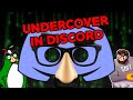 We Went Undercover on Discord