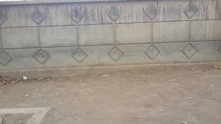 Ycmf Vi̇ne - Tüküren Lama Filmi