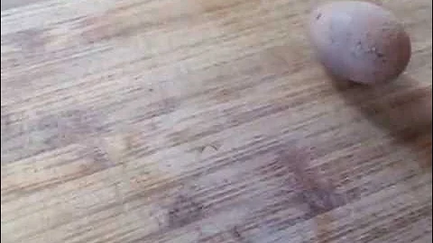 Самое маленькое куриное яйцо в мире