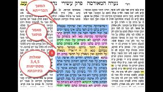 נדרים עט דף יומי מסכת נדרים דף עט Daf yomi Nedarim daf 79 שמואל נבון