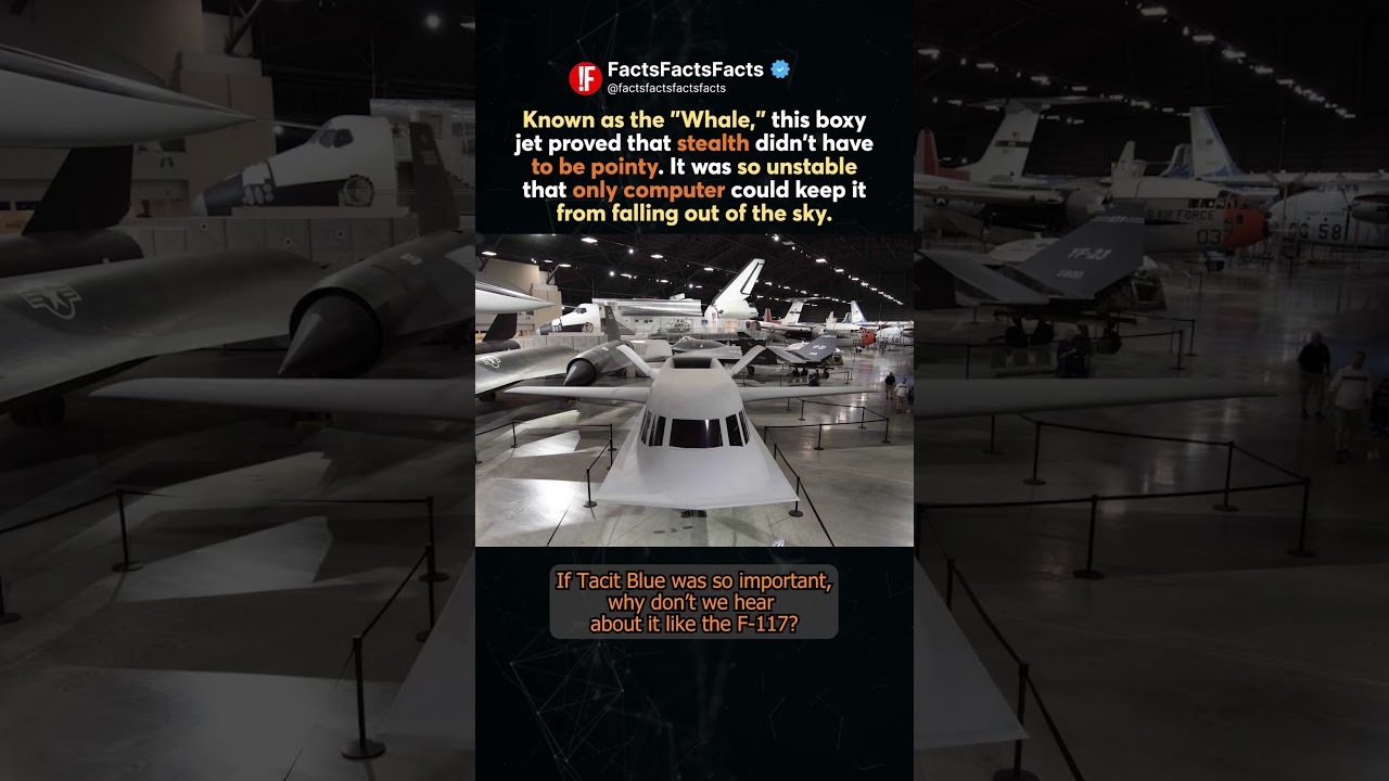 🐋🤫 Tacit Blue: People Could Barely Fly It