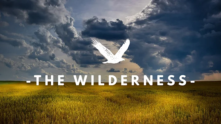 The Wilderness  |  June 28  |  Karl Burns