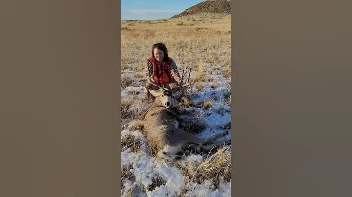 Fort Peck (652) Mule deer buck!