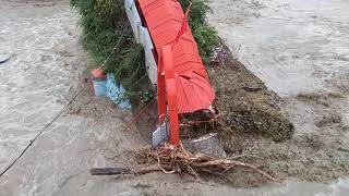 viral viral S shorts trending garjia utrakhand Tourism reels reel reelshorts travel