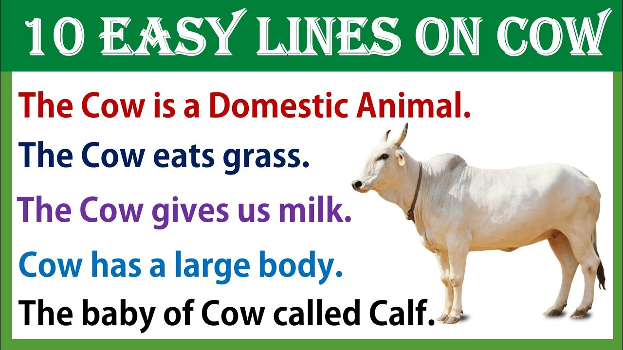 essay on cow 15 lines for class 1