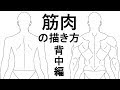 背中 筋肉 イラスト 298392-�� 背中 筋肉 イラスト