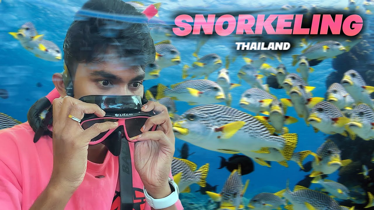 Snorkeling In Thailand 🤿🌊 Vlog Mabu Crush YouTube