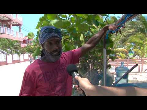 Videó: Menj Lassan A Caye Caulker-hez, Belize - Matador Network