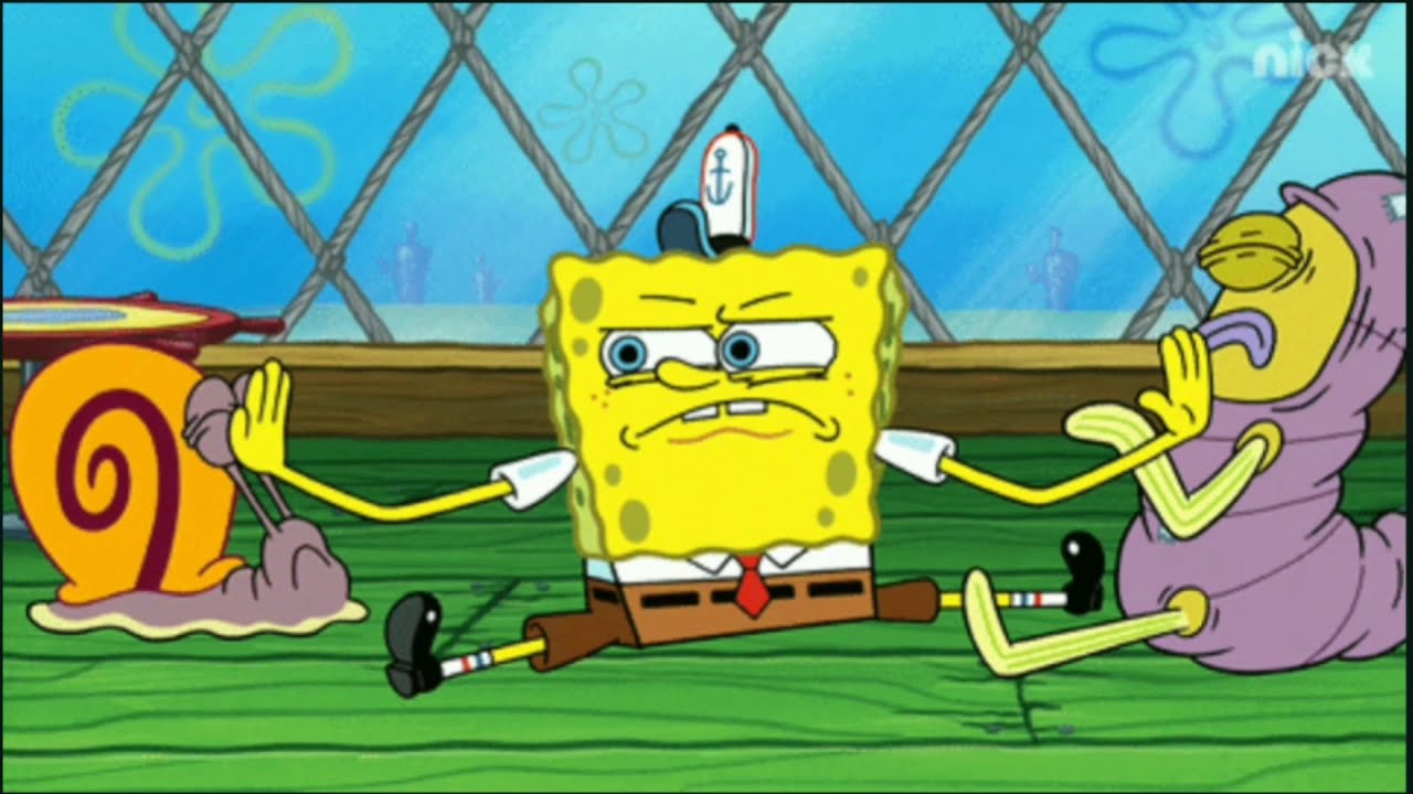 Sponge bob A Place For Pets Clip YouTube