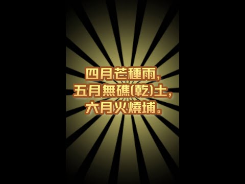 第135集  台灣俗語『四月芒種雨，五月無礁(乾)土，六月火燒埔。  』