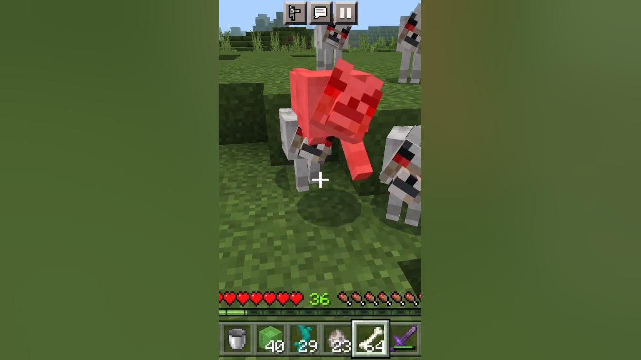 taming-a-dog-in-minecraft-gone-wrong-shorts-youtube
