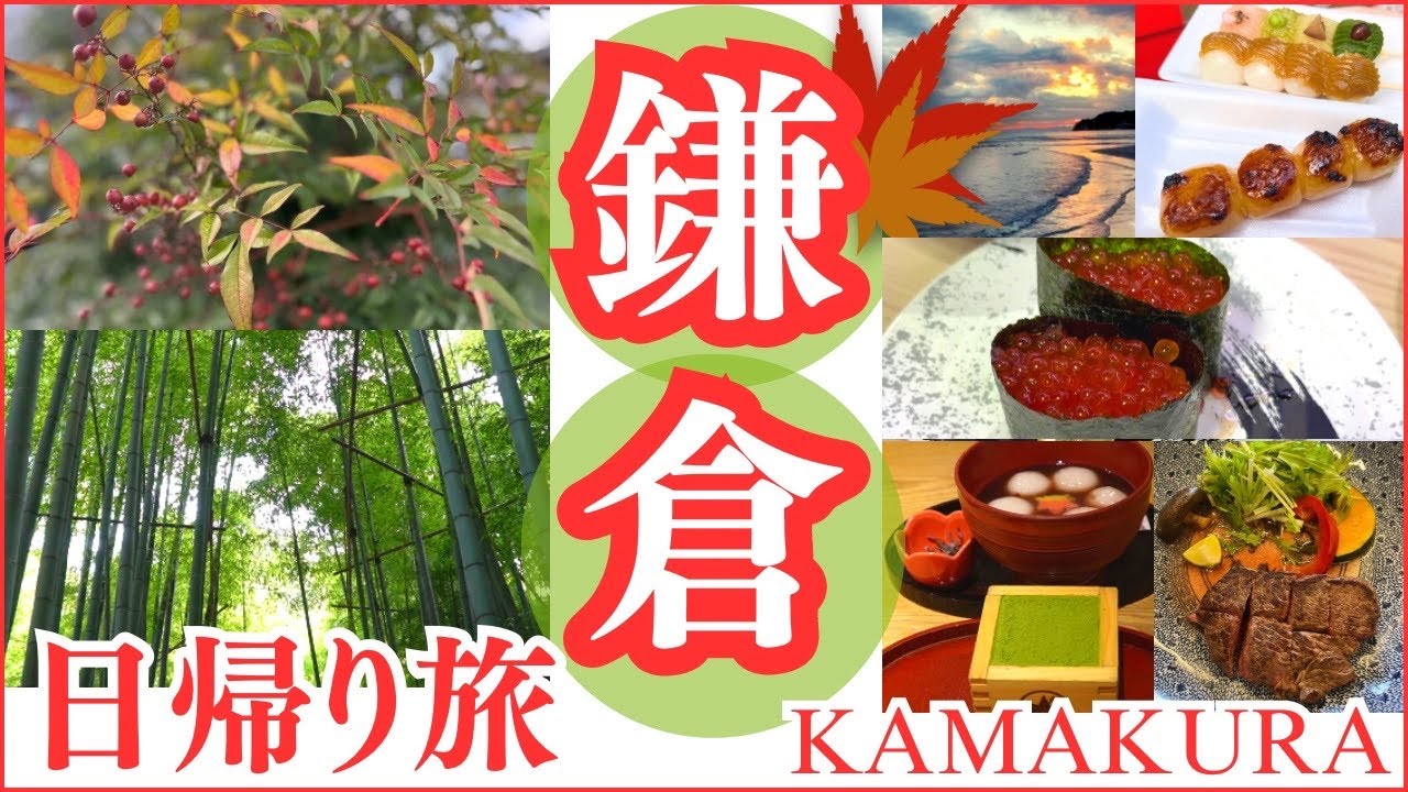 秋の鎌倉観光日帰り旅2024.11.9紅葉状況🍁｜食べ歩き｜報国寺｜竹林｜鶴岡八幡宮｜小町通り｜Vlog