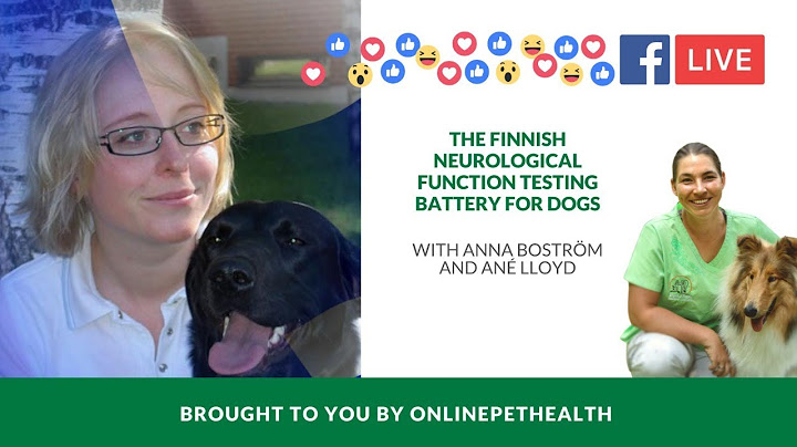 The Finnish Neurological Function Testing Battery for Dogs, with Anna Boström