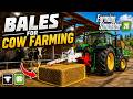 Farming Simulator 26 Bale Feeding for Cows! 🐄