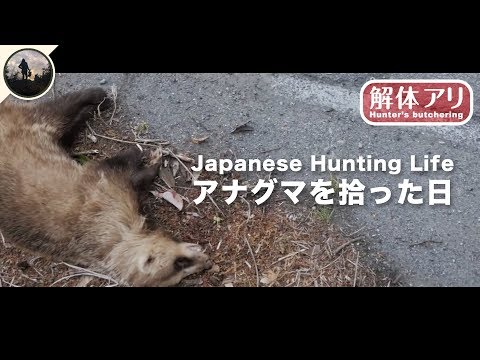 解体】アナグマを拾った日【自然とジビエBBQと】 - YouTube