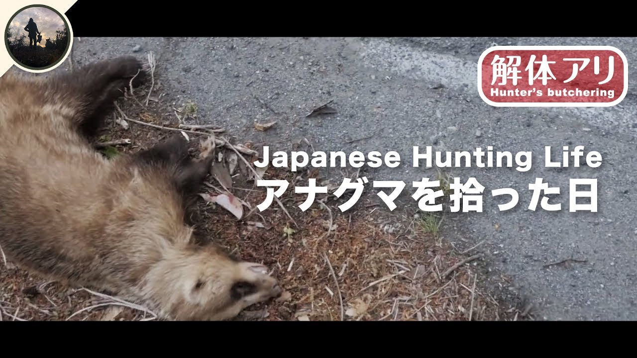 解体】アナグマを拾った日【自然とジビエBBQと】 - YouTube