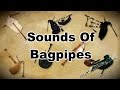Sounds Of Bagpipes From Different Regions Vol. 1
