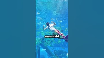 He became the main mermaid